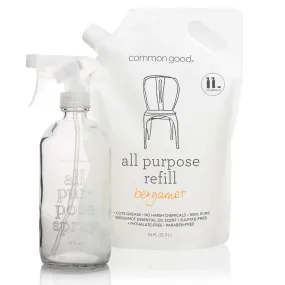 All Purpose Cleaner Refill Pouch and Glass Bottle Set by Common Good