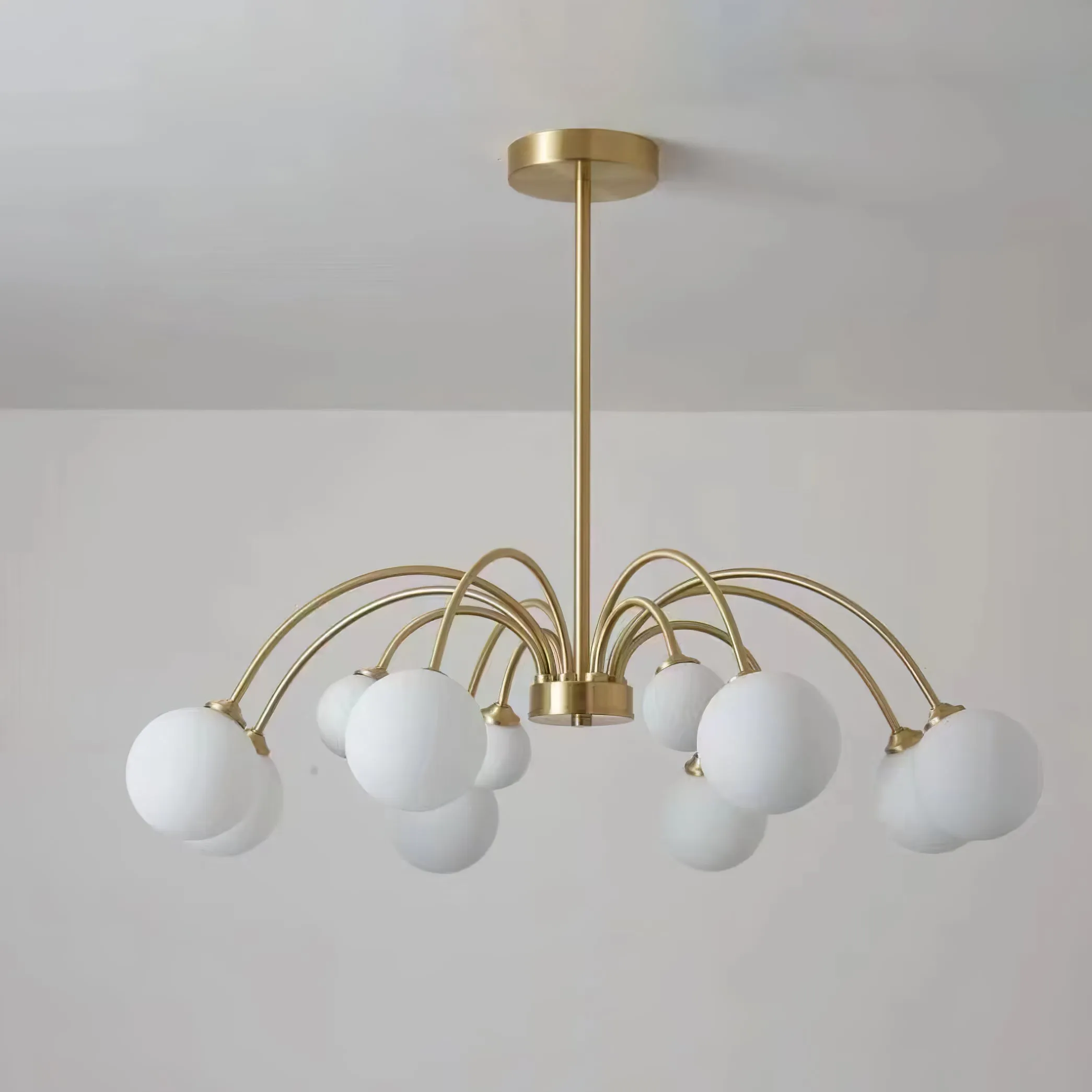 Apiales Chandelier