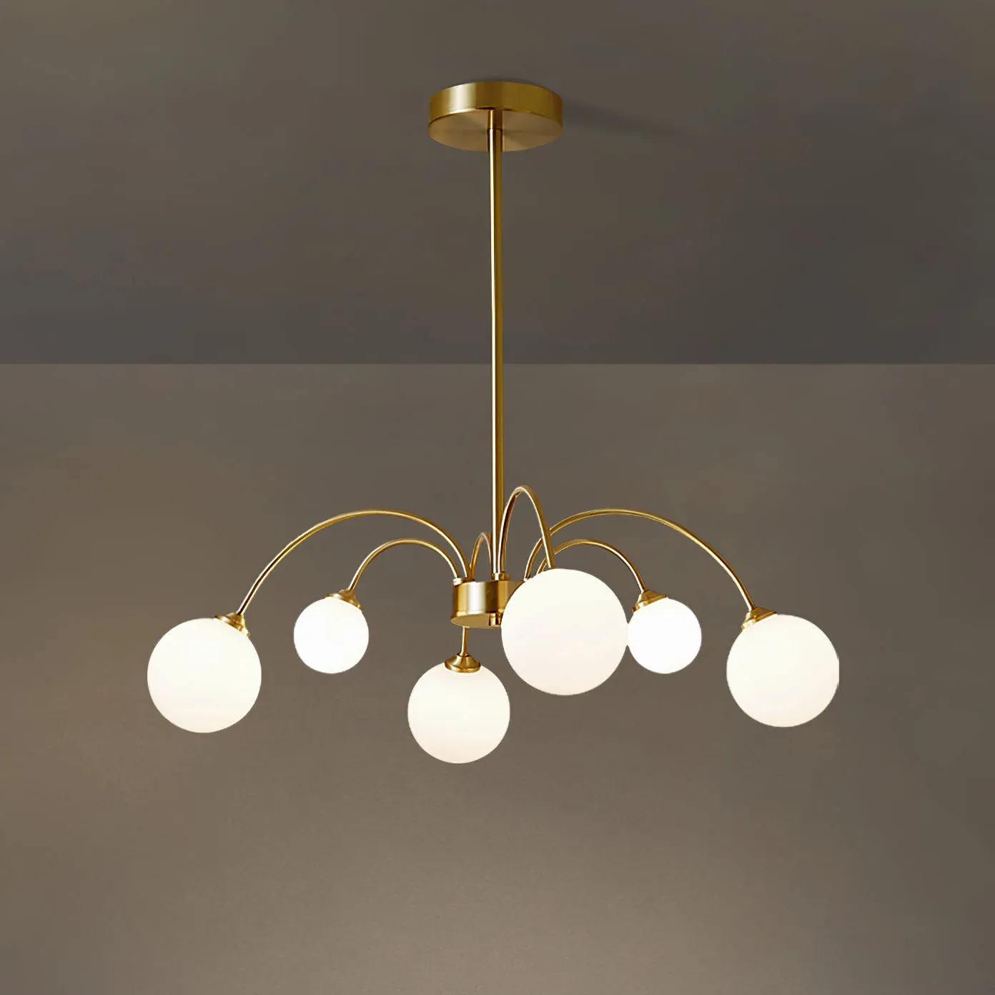 Apiales Chandelier