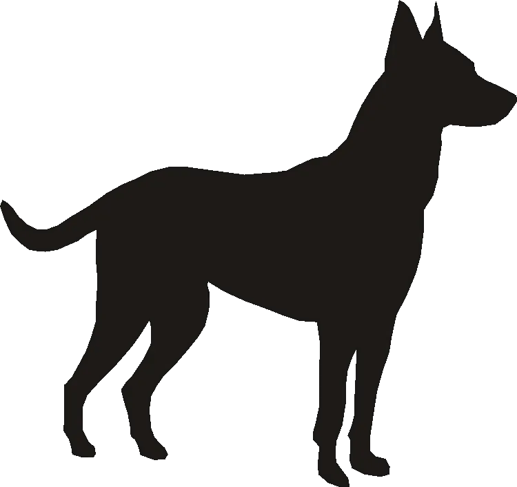 Belgian Malinois Wine Glasses