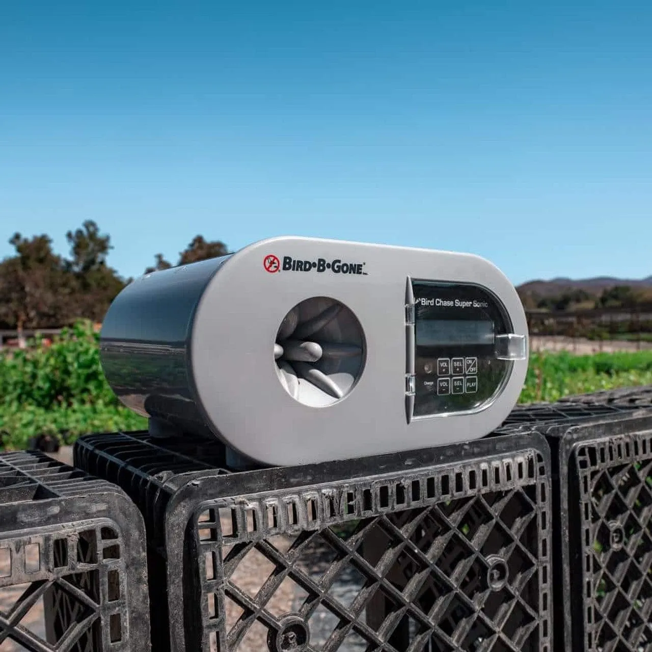 Bird Chase Solar-Powered Sound Deterrent