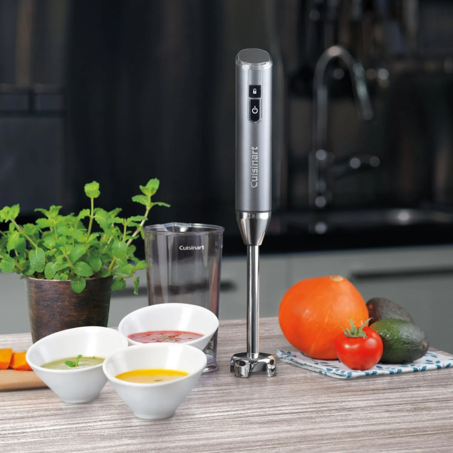 Cuisinart Cordless Series Hand Blender RHB-100XA