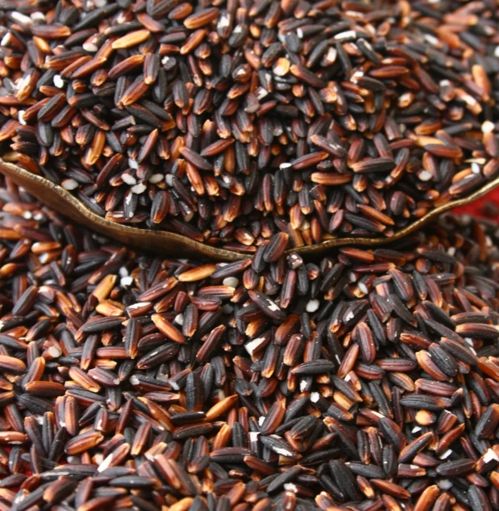 Kala Bath (Black Rice) (Raw)