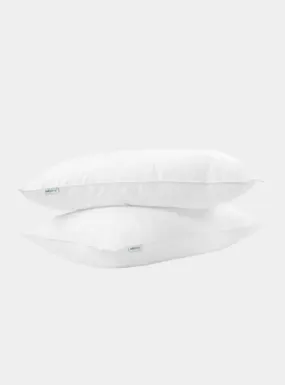 Kally Sleep Feels Like Down Pillows (Twin Pack)