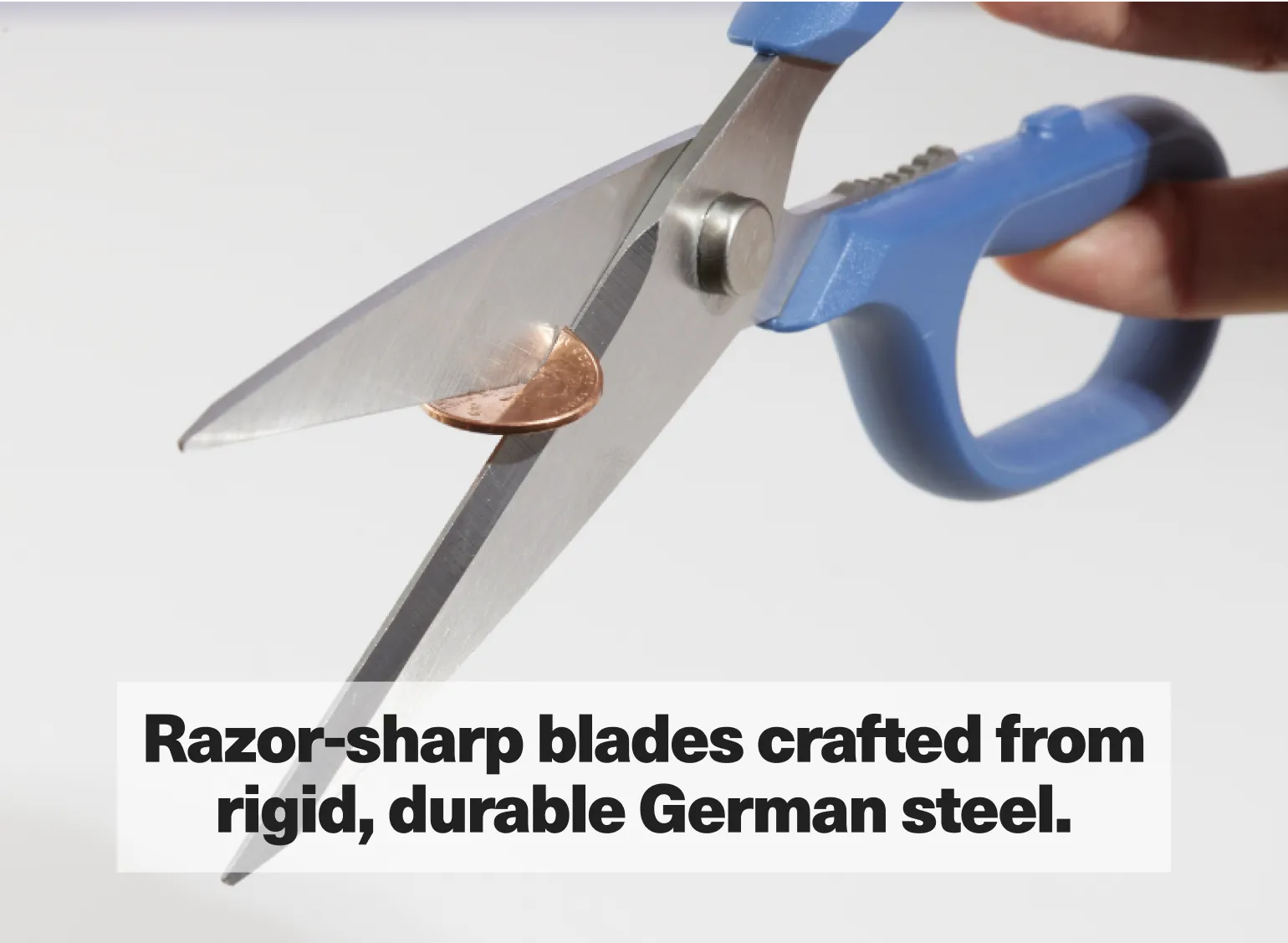 Kitchen Shears