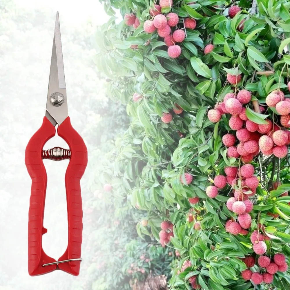 Plant Pruning Scissors Garden Cutter Gardening Bonsai Tools Grass Flower Shears Secator Grafting pruner Hand Pruner Tool new