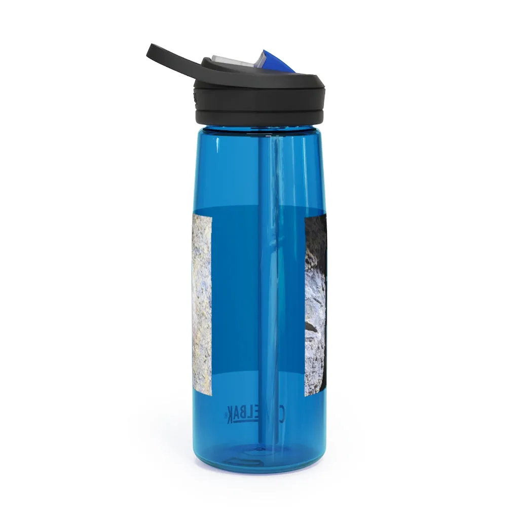 Snake CamelBak Eddy®  Water Bottle, 20oz / 25oz