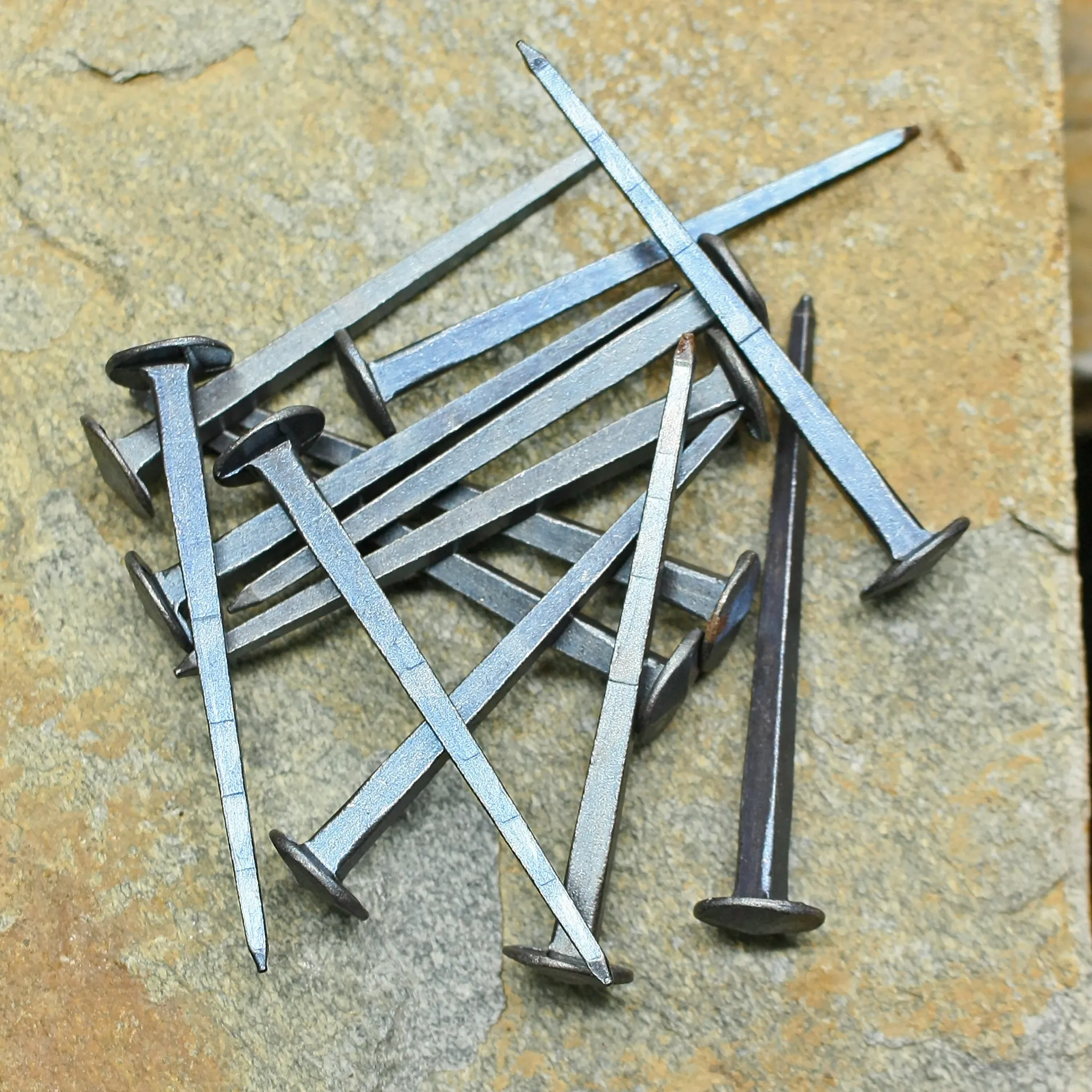 Steel Shield Rivets / Nails - Large - 50mm (2 Inch).